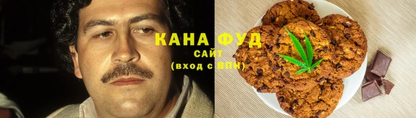 первитин Михайлов