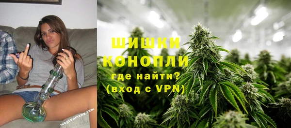первитин Михайлов