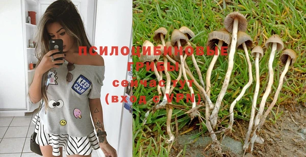 ГАЛЛЮЦИНОГЕННЫЕ ГРИБЫ Михайловка