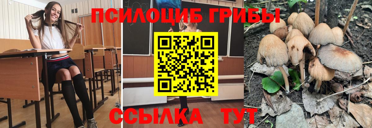 Евпатория  Галлюциногенные грибы MAGIC MUSHROOMS  Вход с VPN  Псилоцибиновые грибы Magic Shrooms 