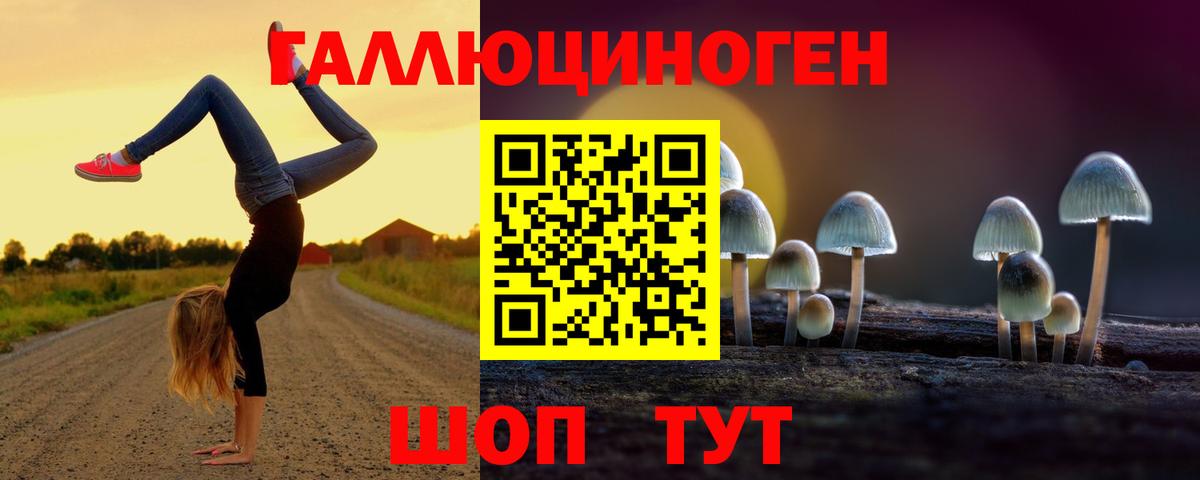 Галлюциногенные грибы Psilocybine cubensis Евпатория
